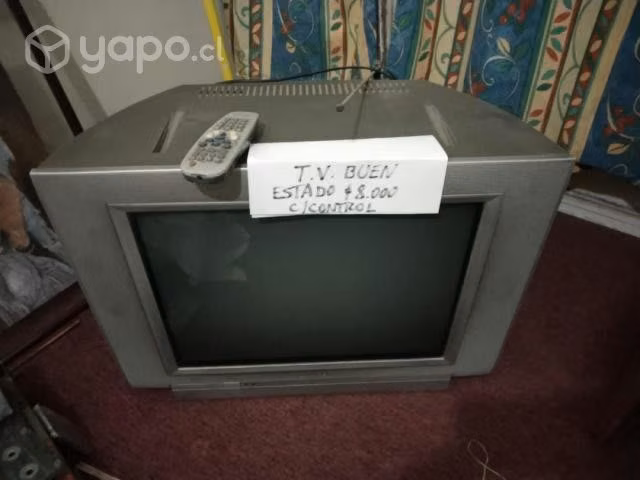 T.V. de 20 pulgadas