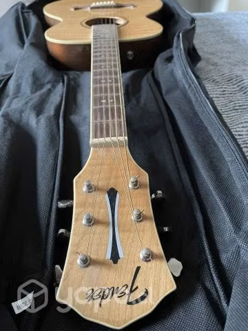 Guitarra Fender FA-235E