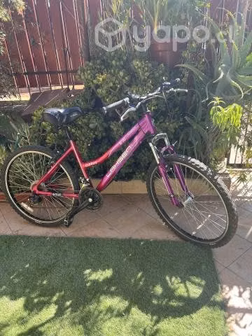 Bicicleta aro 26 - Imagen 5