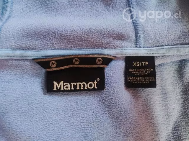 Polar Marmot original - Imagen 2