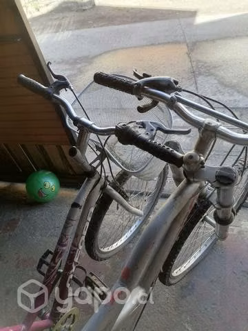 2 bicicletas oxford
