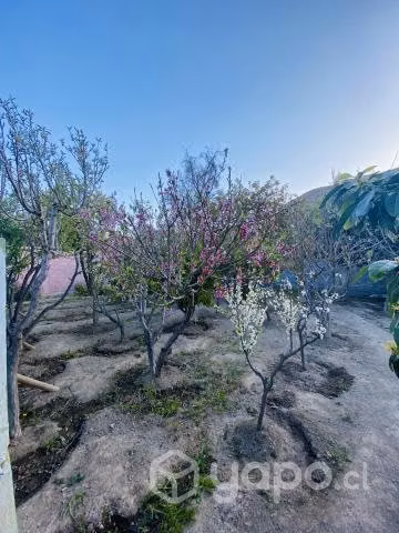 Casa en vicuña valle del elqui