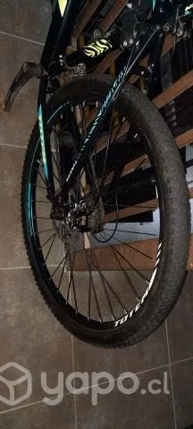Bicicleta Totem Fusion - Imagen 4