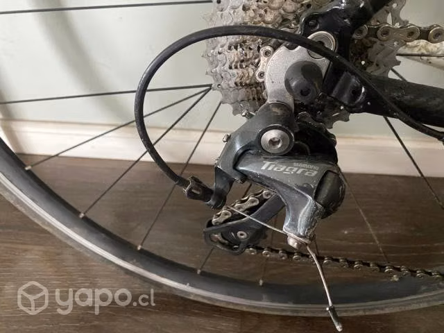 Bicicleta trek de ruta talla 47