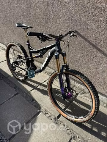 Pivot Mach 6 Full Kashima