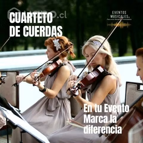 Cuarteto de Cuerdas Profesional para Eventos