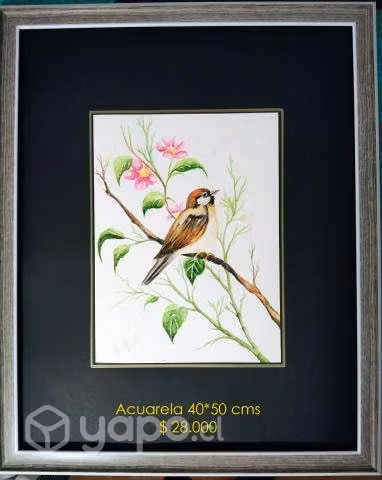 Cuadros originales pintados en acuarelas