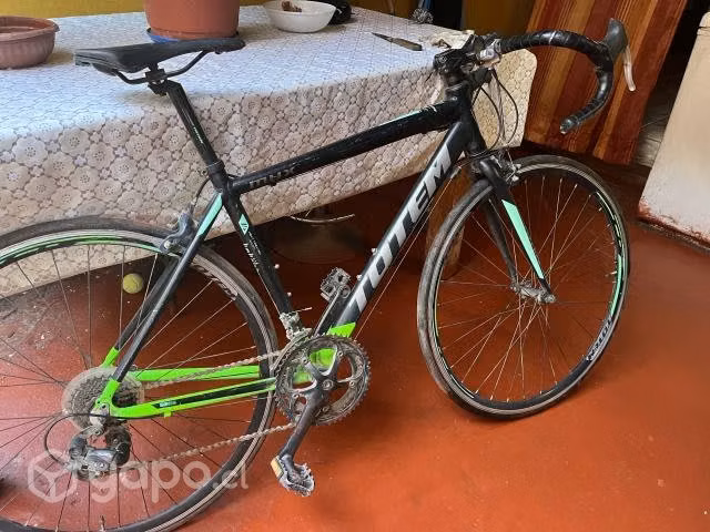 Bicicleta totem