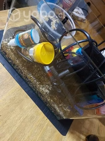 Pecera de 25 lt