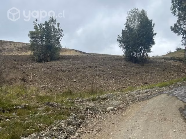 Parcela en Pulpito - Imagen 6