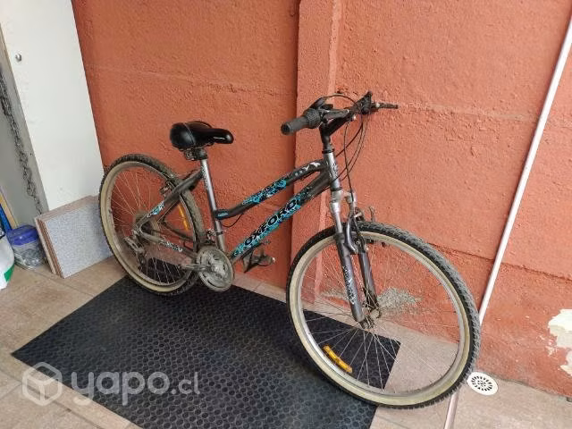 Bicicleta Bianchi aro 26 mujer