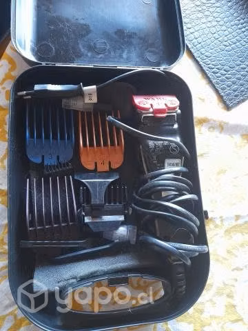 set peluqueria canina - Imagen 4