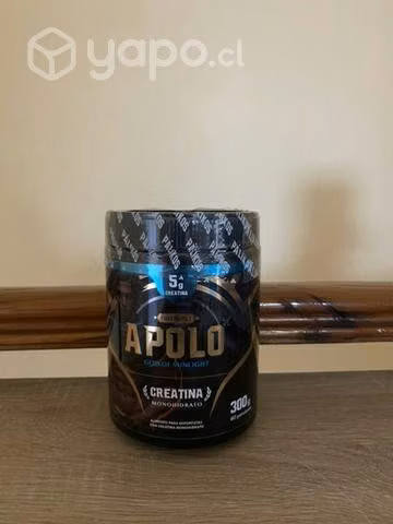 Creatina 300 gramos