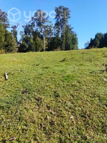 Terreno en chaquihuan - Imagen 6