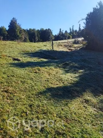 Terreno en chaquihuan - Imagen 8