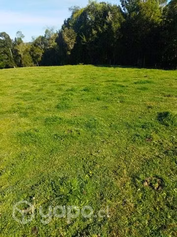 Terreno en chaquihuan - Imagen 3