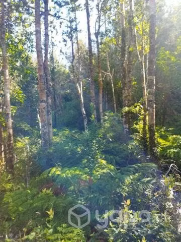 Terreno en chaquihuan - Imagen 9