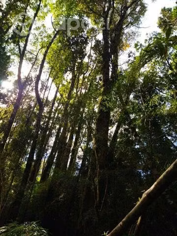Terreno en chaquihuan - Imagen 16