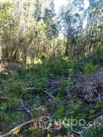 Terreno en chaquihuan - Imagen 7