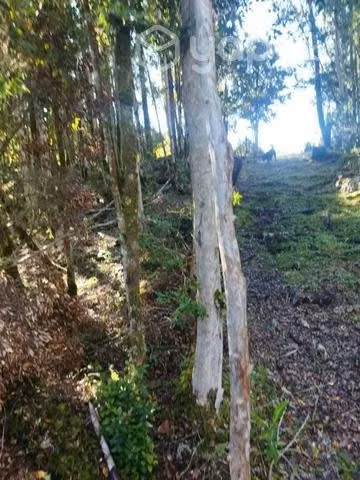 Terreno en chaquihuan - Imagen 5
