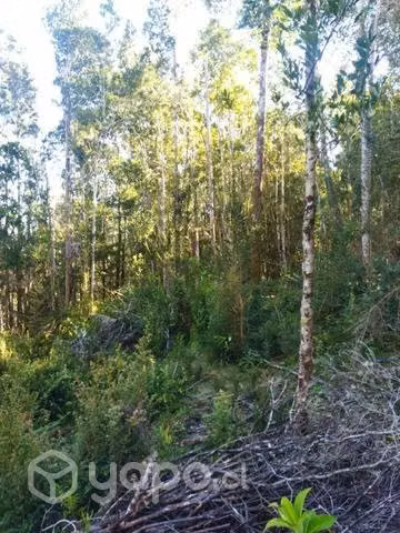 Terreno en chaquihuan - Imagen 10