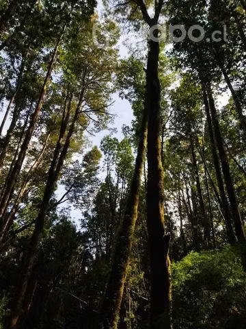 Terreno en chaquihuan - Imagen 17