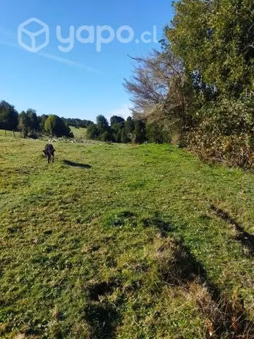 Terreno en chaquihuan - Imagen 4