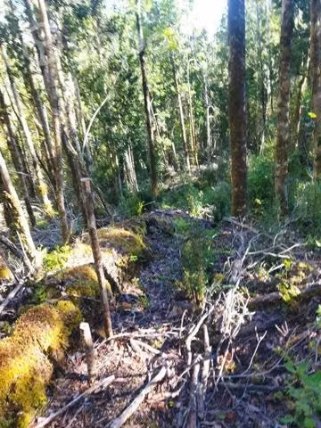 Terreno en chaquihuan - Imagen 11