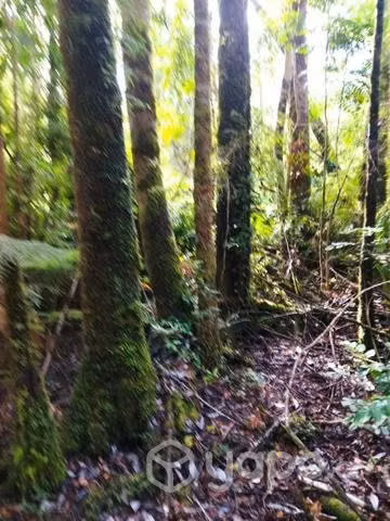 Terreno en chaquihuan - Imagen 14