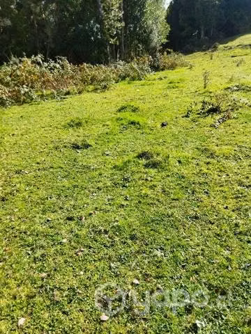 Terreno en chaquihuan - Imagen 19
