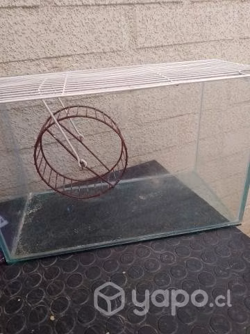 Jaula hamster