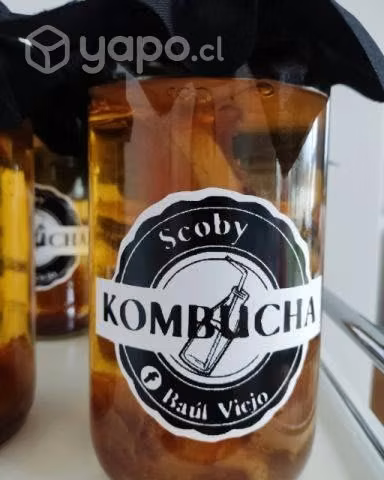 Kombucha