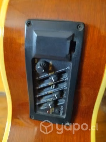 Guitarra electroacústica Azalea Premium Edition