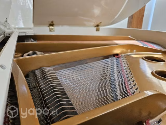 Piano De Cola Wurlitzer C153