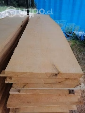 Tablones Cipres
