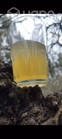 Vinagre de manzana Organico