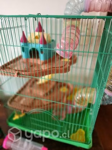 Jaula Hamster