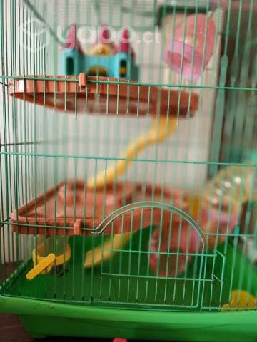 Jaula Hamster