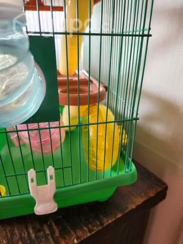 Jaula Hamster