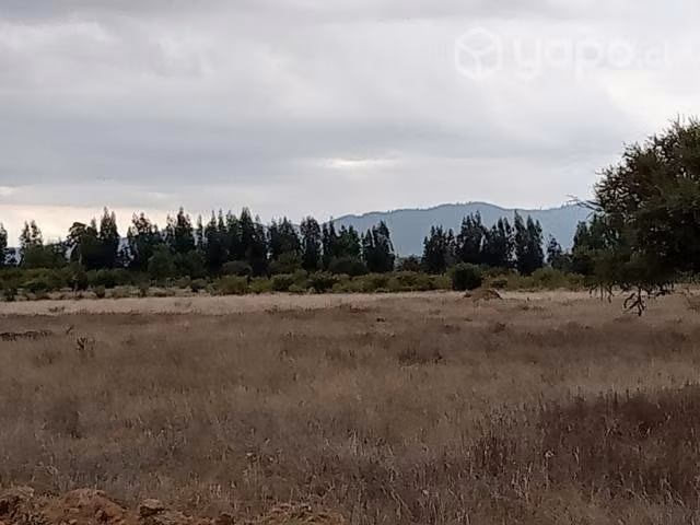 Parcelas Terra Viña 2 serva Santa Cruz