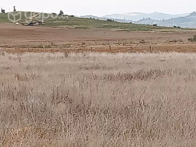 Parcelas Terra Viña 2 serva Santa Cruz