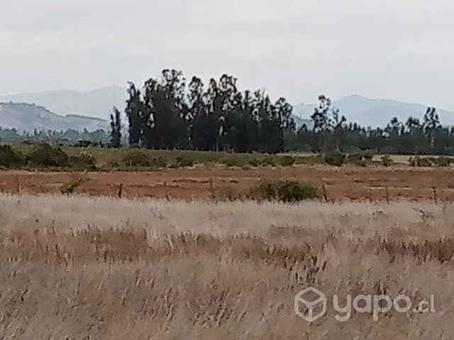 Parcelas Terra Viña 2 serva Santa Cruz