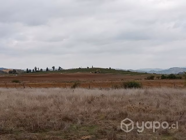 Parcelas Terra Viña 2 serva Santa Cruz