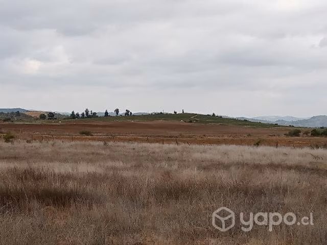 Parcelas Terra Viña 2 serva Santa Cruz