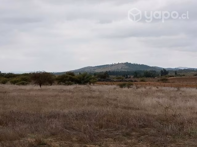 Parcelas Terra Viña 2 serva Santa Cruz