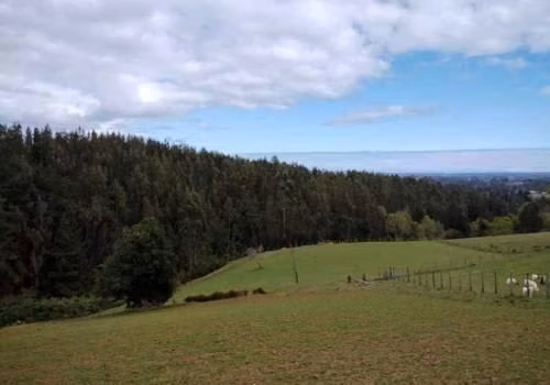 Parcelas en Puerto Dominguez