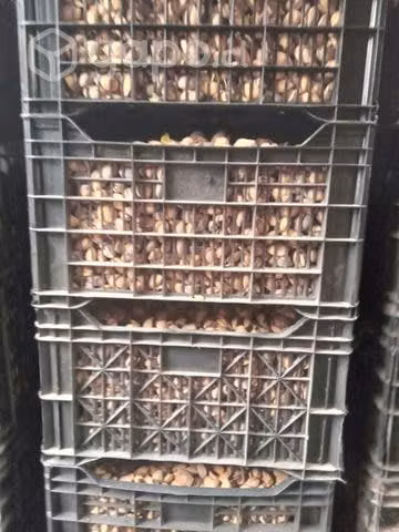 almendras con perlon - Imagen 3