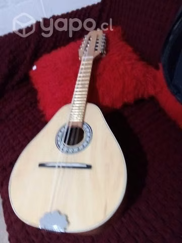 Mandolina 10 cuerda muy buena