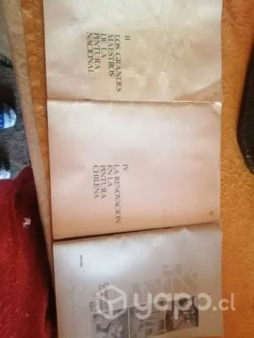 Libros de pintura