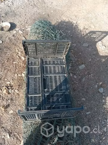 Cajas para la verdura